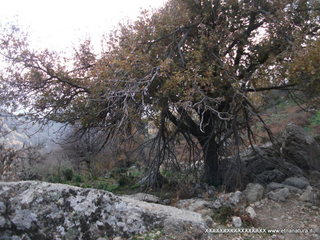 Montagna_Grande - 28-12-2012 14-07-10.JPG